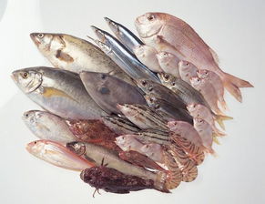 2016年1-9月龍巖市水產品零售價格形勢分析